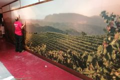 2017-02-17-PHOTO-00001404