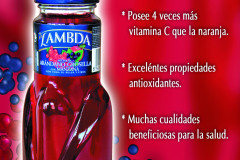 Cartel-lambda-arandanoA.F