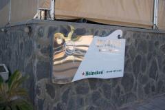 LUMINOSOS14